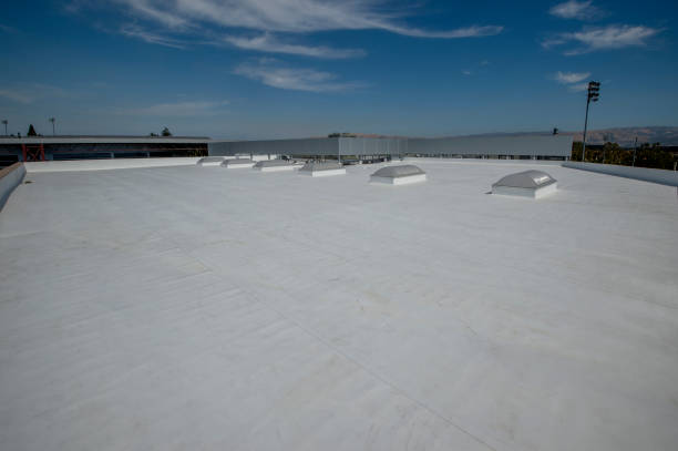 Best Steel Roofing  in Lake Magdalene, FL